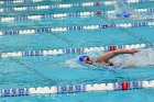 Swimming & Diving vs RWU  Swimming & Diving vs Roger Williams University. - Photo by Keith Nordstrom : Wheaton, Swimming